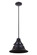 Union 1 Light Medium Outdoor Pendant in Midnight (20|Z4411-MN)