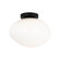 Melotte Wall Sconce/Ceiling Mount (3605|WX63611BKOP)