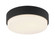 Quintz Flush Mounts (3605|M13202MB)