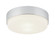 Quintz Flush Mounts (3605|M13202CH)