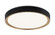 Alamus Flush Mounts (3605|M10602BKGL)