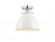 Adirondack - 1 Light - 8 inch - Polished Chrome - Semi-Flush Mount (3442|616-1F-PC-M14-W)