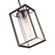 Outdoor Hanging Lantern (670|4571-PBZ)