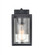 Outdoor Wall Sconce (670|4541-PBK)