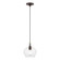 1 Light Bronze with Antique Brass Accent Pendant (108|49088-07)