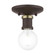 1 Light Bronze with Antique Brass Accents Single Flush Mount (108|47160-07)