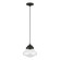 1 Light Black with Brushed Nickel Accent Mini Pendant (108|41293-04)