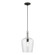 1 Light Black with Brushed Nickel Accent Single Pendant (108|41237-04)