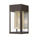 1 Light Bronze with Soft Gold Candle and Brushed Nickel Stainless Steel Reflector Outdoor Wall Lant (108|20761-07)