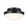 Flush Mount 2Lt (10687|52544BK)