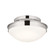 Flush Mount 2Lt (10687|52544PN)