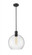 1 Light Pendant (276|7501P14-MB)