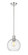 1 Light Pendant (276|7501P10-PN)