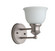 1 Light Wall Sconce (20|19805BN1-WG)