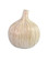 Medium White Garlic Bulb (92|1200-0539)