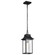 Austen Collection Outdoor 17 inch Hanging Light; Matte Black Finish with Clear Water Glass (81|60/5996)