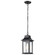 Stillwell Collection Outdoor 14 inch Hanging Light; Matte Black Finish with Clear Water Glass (81|60/5958)