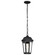East River Collection Outdoor 14.5 inch Hanging Light; Matte Black Finish with Clear Water Glass (81|60/5944)