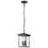 Jamesport Collection Outdoor 11 inch Hanging Light; Matte Black with Clear Glass (81|60/5933)