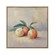 Peach Still Life Framed Wall Art (91|S0026-10619)