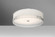 Besa Paco 19 Ceiling, Opal/Clear, 4x 9W T12 LED (127|PACO19CLC-LED)