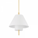 Glenmoore Pendant (57|PI1899701-AGB)