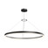 48'' LED Ring Pendant (3500K) (107|2318.25-35)