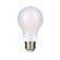 Bulbs-Bulb (19|BL7E26A19FT120V30)