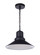 Singleton 1 Light 14'' Outdoor Pendant in Midnight (20|ZA5411-MN)