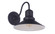 Singleton 1 Light 11'' Outdoor Wall Lantern in Midnight (20|ZA5404-MN)
