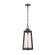 Bolling 1-Light Outdoor Hanging Lantern Powder Coated Bronze (670|8204-PBZ)