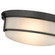Arlson 2-Light Flushmount Ceiling Light Matte Black (670|4662-MB)