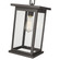 Bowton 1-Light Outdoor Hanging Lantern Powder Coated Bronze (670|4123-PBZ)