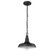 1-Light Outdoor Hanging Lantern Powder Coated Black (670|2952-PBK)