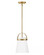 Small Single Light Convertible Pendant (1118101|83057LCB)