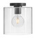Extra Small Flush Mount (1118101|83531BK)