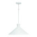 1 Light Pendant (42|350312XW)