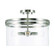 4 Light Dual Mount Semi-Flush/Pendant (42|248741BN)