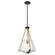 Starlight; 1 Light Foyer Pendant; Medium Base; 60 Watt; Matte Black Finish: Clear Seeded Glass (81|60/7687)