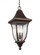 Oakmont Pendant (7725|OL13109PTBZ)