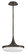 Medium LED Convertible Pendant (88|FR35047BX)