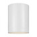 Outdoor Cylinders transitional 1-light LED outdoor exterior ceiling flush mount in white finish (7725|7813801EN3-15)
