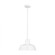 Barn Light traditional 1-light LED outdoor exterior Dark Sky compliant hanging ceiling pendant in wh (7725|6237401EN3-15)