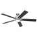 60 Inch Lucian Elite XL Fan (10687|330060PN)