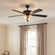 52'' 2-Light Ceiling Fan in Matte Black (8483|M2019MBKRV)