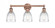 Brookfield - 3 Light - 24 inch - Antique Copper - Bath Vanity Light (3442|616-3W-AC-G442)