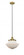 Oxford - 1 Light - 12 inch - Brushed Brass - Mini Pendant (3442|616-1PH-BB-G541)