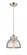 Adirondack - 1 Light - 8 inch - Brushed Satin Nickel - Cord hung - Mini Pendant (3442|516-1P-SN-M14-SN)