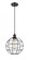 Lake Placid - 1 Light - 10 inch - Matte Black - Mini Pendant (3442|516-1P-BK-CE-10-BK)