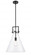 Newton Cone - 1 Light - 14 inch - Matte Black - Multi Pendant (3442|411-1SL-BK-G411-14CL)